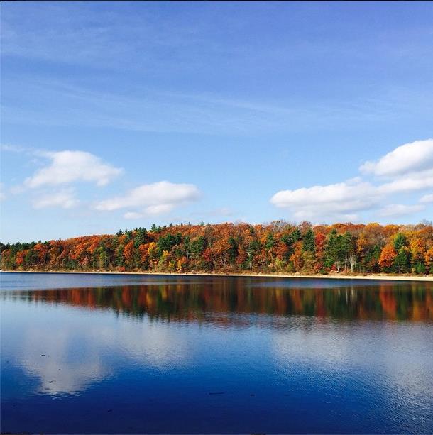 WALDEN POND